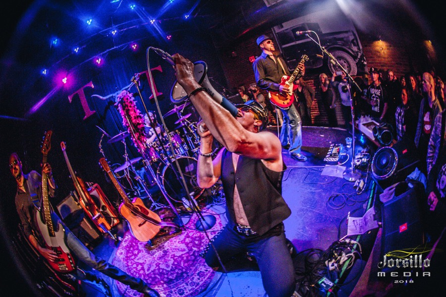 Wicked Garden live photo 4